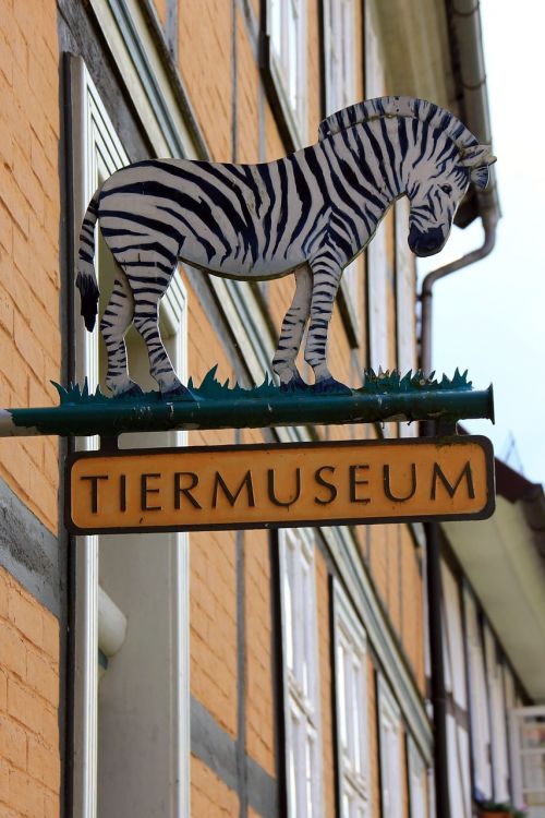 Skydas, Informacija, Muziejus, Gyvūnai, Gyvūnas, Zebra, Alfeld