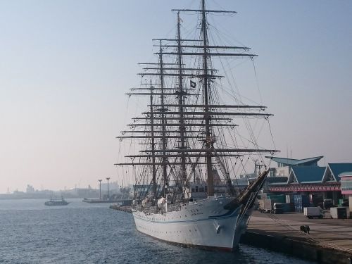 Laivas, Nippon Maru, Jūra, Kagošima