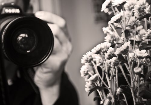 Šaudymas,  Gėlės,  Gėlė,  Fotoaparatas,  Objektyvas,  Darbas,  Hobis,  Juoda,  Balta,  Fotografija,  Fotografas,  Šaudymas
