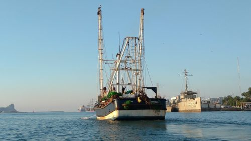 Krevetės Valtis, Žvejybos Laivas, Žvejybos Laivas