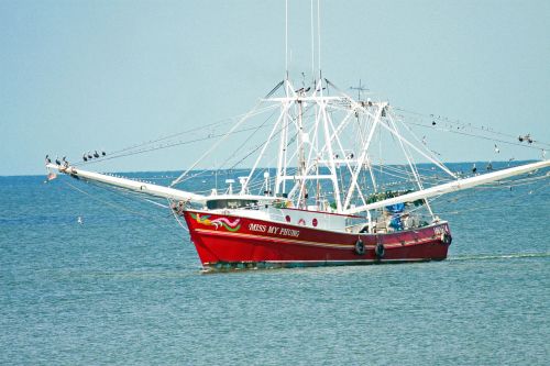 Krevetės Valtis, Žvejybos Laivas, Valtis, Žvejyba