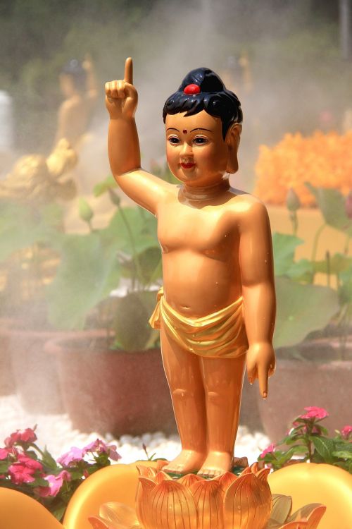 Sidhartha, Princas Vonia Buda, Budizmas, Budos Gimtadienio Šventė, Vandens Purškimas, Gėlė