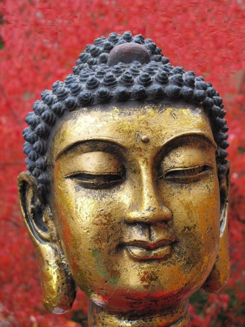 Siddhartha Gautama, Buda, Galva, Religija, Transcendencija, Budizmas, Reinkarnacija, Harmonija, Meditacija, Auksas, Statula