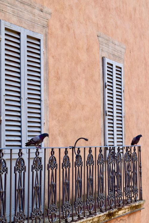 Siena, Vasara, Pastatas