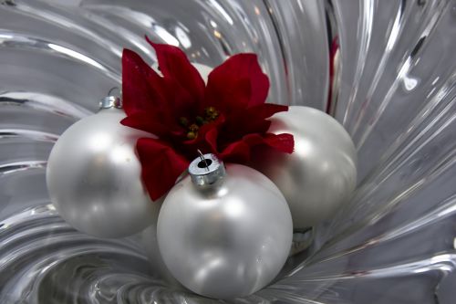 Kalėdos,  Ornamentas,  Poinsettia,  Dubuo,  Stiklas,  Sidabrinė Kalėdų Uždanga