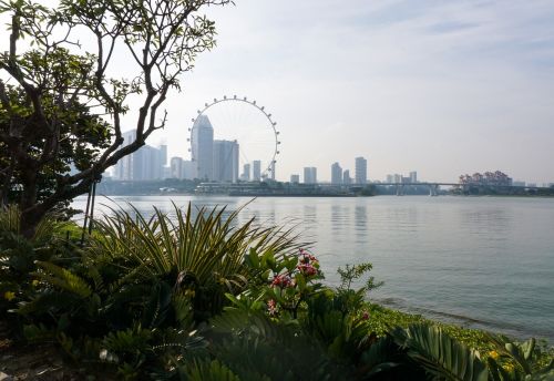 Singapūras, Skrajutė, Sodas, Įlanka, Ferris Ratas, Turizmas, Orientyras, Vaizdas, Scena, Kranto, Singapūras Panorama, Parkas, Vanduo, Miestas