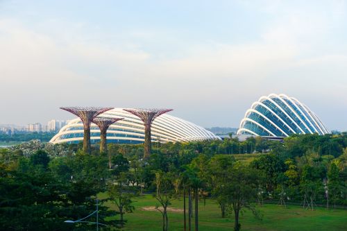 Singapūras, Gėlė, Kupolas, Scena, Asija, Botanikos, Parkas, Šiuolaikiška, Architektūra, Orientyras, Miesto, Pritraukimas, Turistinis