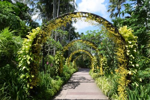 Singapūras, Botanikos Sodas, Vaismedžių Gėlių Arka