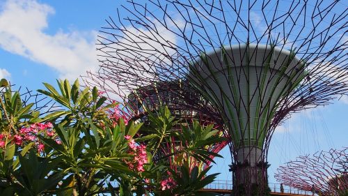 Singapūras, Marina Bay, Botanikos Sodai