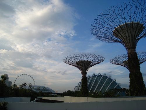 Singapūras, Lauke, Turizmas, Pritraukimas, Sodas