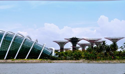 Singapūras, Sodų Įlanka, Dangus, Milžiniški Medžiai, Medžiai, Metalo Medis, Struktūros, Architektūra, Metalas, Struktūra, Asija, Meno Kūriniai, Architektūros Dizainas, Dizainas