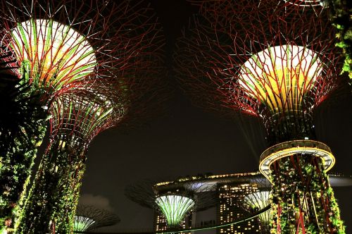 Singapūras, Naktys, Žibintai, Lempos, Aukštas, Medžiai, Tamsi, Ess, Šviesus, Apšviestas, Miestas, Miesto, Architektūra, Šiuolaikiška, Dekoratyvinis, Modeliai, Miestai