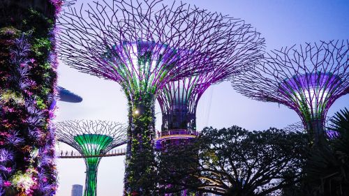 Singapūras, Sodai Prie Įlankos, Spalvinga, Pritraukimas, Supertree