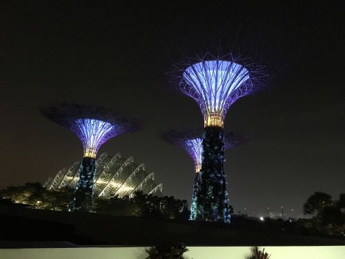 Singapūras, Mėlynas, Sodo Miestas, Asija, Lankytinos Vietos, Egzotiškas