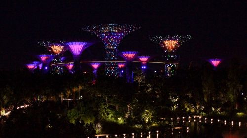 Singapūras, Marina, Medžiai