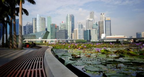 Singapūras, Miestas, Pastatai, Dangoraižis, Lotosas, Žalia Zona, Lotuso Gėlė, Sodas, Architektūra, Atmosfera, Šiuolaikiška, Didelis Miestas, Vaizdas, Megacity