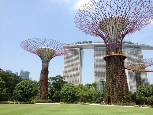 Singapūras, Marina, Parkas