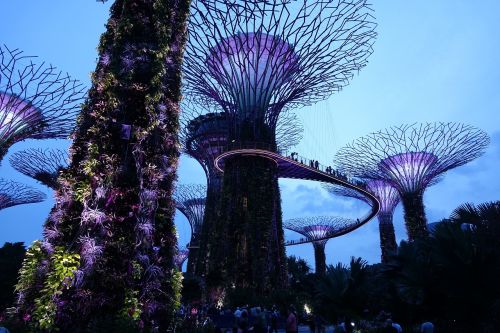 Singapūras,  Supertree Gira,  Gamta,  Spalva,  Be Honoraro Mokesčio