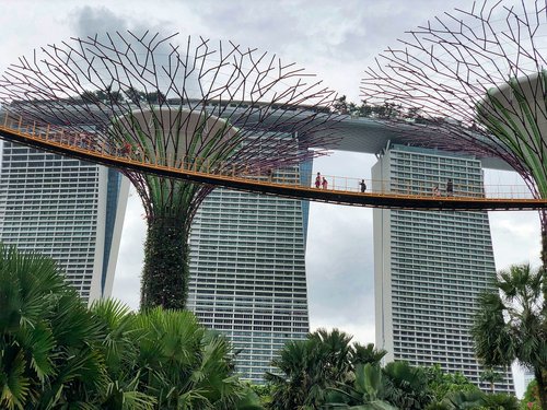 Singapūras,  Architektūra,  Langas,  Viešbutis,  Medis