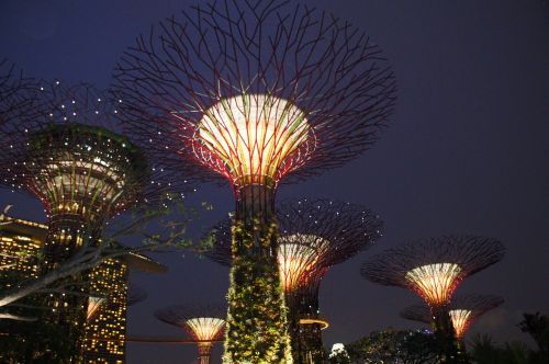 Singapūro Sodas Prie Įlankos, Supertree, Singapūras, Orientyras, Įlanka, Parkas, Architektūra, Asija, Pritraukimas, Miestas, Kelionė, Šviesa, Miesto Panorama, Turizmas, Panorama, Sodas, Scena, Pastatas, Skulptūra, Naktis