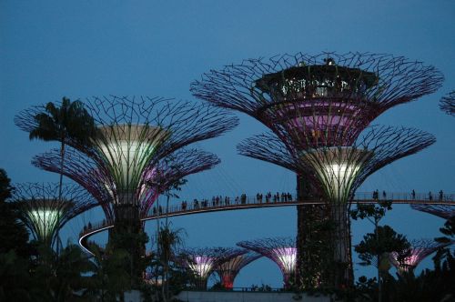 Singapūro Sodai, Pritraukimas, Medžiai, Parkas