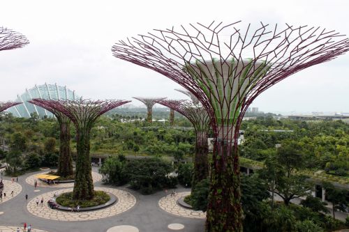 Singapūras,  Milžinas,  Medis,  Sodai,  Įlankos,  Singapūras Milžiniški Medžių Sodai Prie Įlankos
