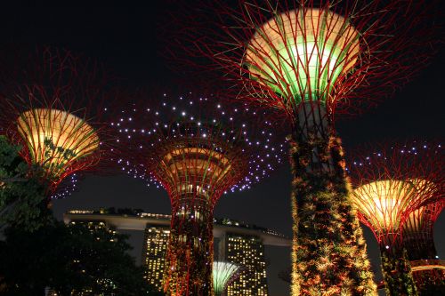 Singapūras,  Dangus,  Medis,  Naktis,  Vaizdas,  Singapūras Dangus Medis Nakties Vaizdas