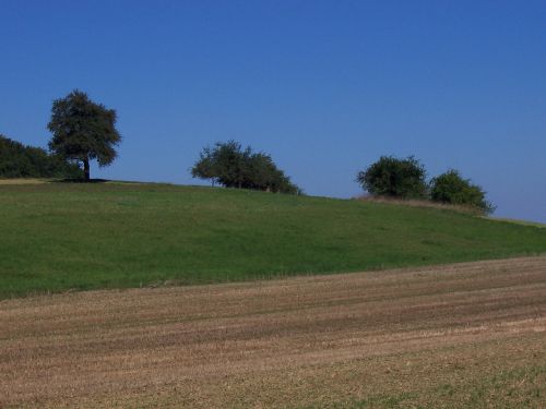 Sinsheim, Kraštovaizdis, Pieva