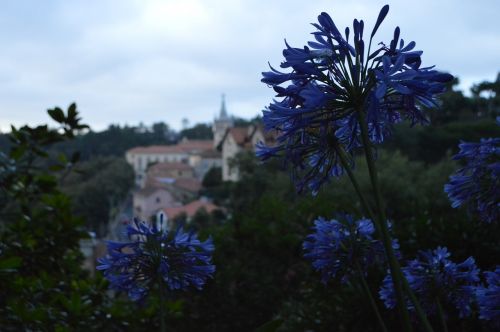 Sintra, Stebuklinga, Pilis, Gėlės