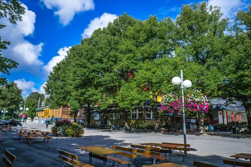 Skansen, Stockholm, Švedija, Skandinavija, Parkas, Medis