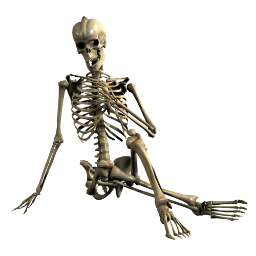 Skeletas, Sėdi, Kaukolė, Kaulai, Atsipalaiduoti, 3D, Png