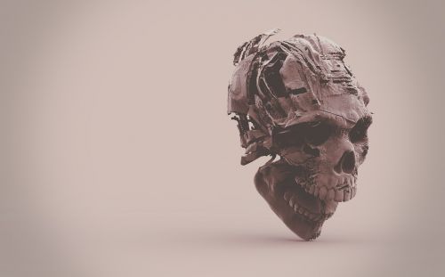 Skeletas, Kaukolė, 3D
