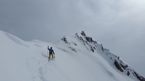 Backcountry Skiiing, Allgäu, Aukščiausiojo Lygio Susitikimas, Elfer Ostgipfel, Viršūnių Susitikimas, Sniegas, Žiemą, Kalnai, Miltelių Sniegas, Bavarija, Skitouren Pirmtakas, Žiemos Sportas, Žiema, Šaltas, Alpių, Kalnų Viršūnė