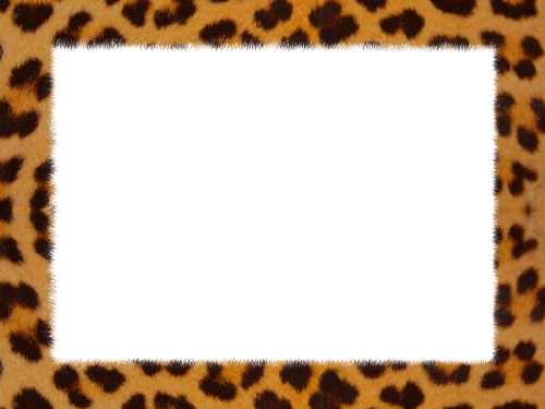 Odos Leopardas, Tekstūra, Geometrinis, Štampavimas, Oda, Gyvūninė Oda, Leopardas