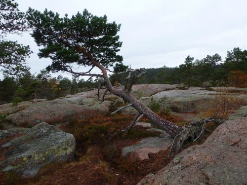 Skuleskogeno Nacionalinis Parkas, Švedija, Žygis