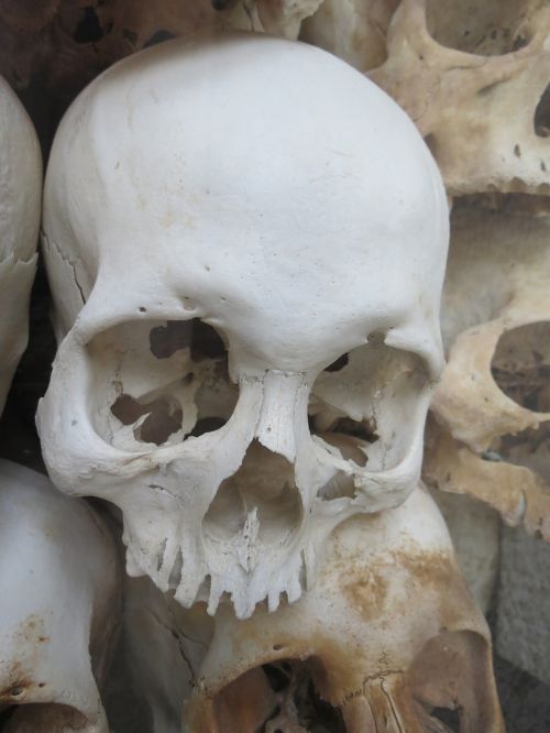 Kaukolė, Balta, Vietnamas, Mirtis