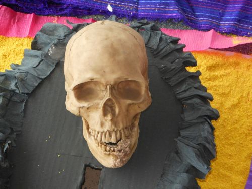 Kaukolė, Mirusiųjų Diena, Meksika
