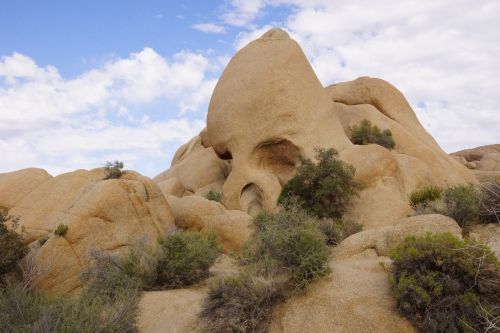 Skull Rock, Usa, Akmenys, Uolos, Nacionalinis Parkas, Joshuatree