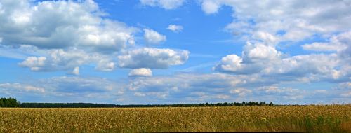 Dangus, Debesys, Panorama, Grūdai, Kraštovaizdis, Laukas, Žemdirbystė, Gamta