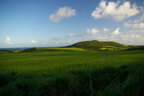 Dangus, Gamta, Debesys, Mėlynas, Vasara, Laukas, Mėlynas Dangus