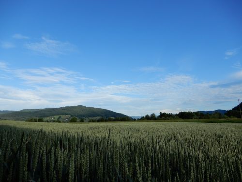 Dangus, Mėlynas, Grūdai, Kraštovaizdis