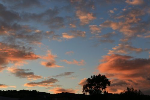 Dangus, Saulėlydis, Dusk, Vakaras, Saulėlydžio Dangaus, Medis