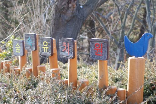 Dangaus Miško Darželis, Yeongjongdo, Paveikslų Parkas, Takai, Dangus, Miestas Kovoti Iš