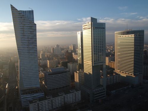Dangoraižiai, Varšuva, Verslas