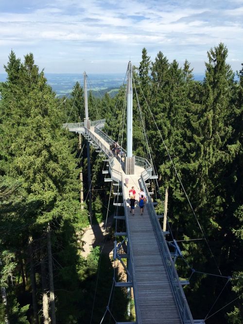 Skywalk Allgäu, Skywalk, Skywalk Scheidegg, Medelynų Kelias, Scheidegg, Vokietija, Šaligatvis, Sustabdytas, Ežero Konstanta, Alpių Smailės