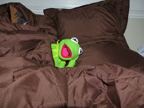 Miegoti, Pavargęs, Lova, Kermito Varlė