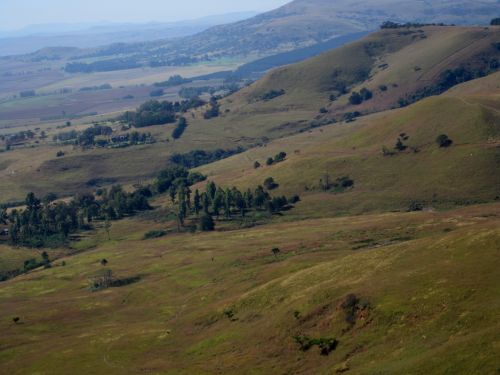 Kalnas & Nbsp,  Regionas,  Šlaitai,  Raukšlės,  Veld,  Medžiai,  Antena & Nbsp,  Peržiūra,  Šlaitai,  Drakensbergas,  Kva-Zulu Natal