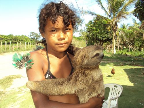 Sloth, Tingumas, Indija, Mergaitė, Brazilija, Bahia