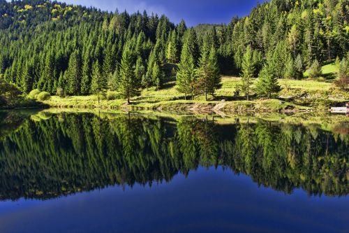 Slovakija, Priroda, Kalnai, Šalis, Miškas, Medžiai, Vanduo, Ežeras, Aišku