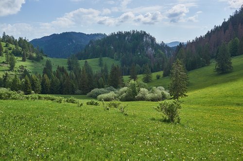 Slovakija,  Vernár,  Pavasaris,  Zelena,  Šalis,  Pobūdį,  Taika,  Iš Grožio,  Meadow,  Kalnų,  Turizmas
